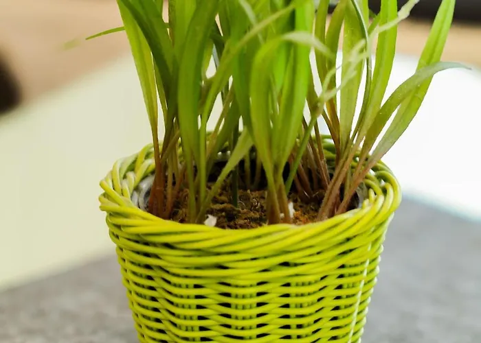 Vier Jahreszeiten 2-52 Διαμέρισμα