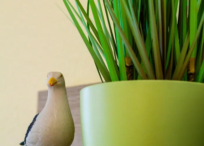 Vier Jahreszeiten 2-52 Διαμέρισμα Großenbrode